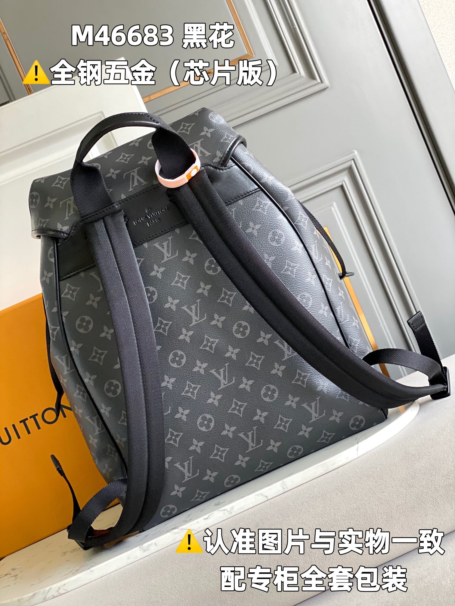 Louis Vuitton Backpacks